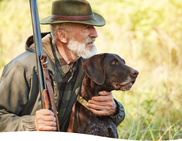 Vente de faisans, perdrix et canards colvert dans le Loir et Cher, Loiret et région Centre